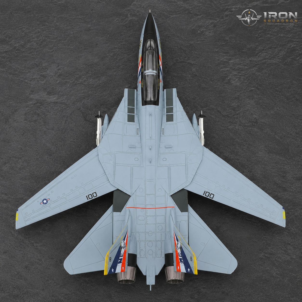 Iron Squadron™ F-14A Tomcat VF-2 Bounty Hunters