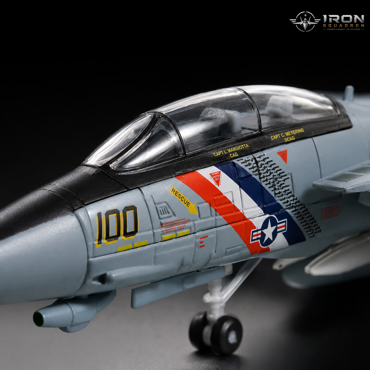 Iron Squadron™ F-14A Tomcat VF-2 Bounty Hunters