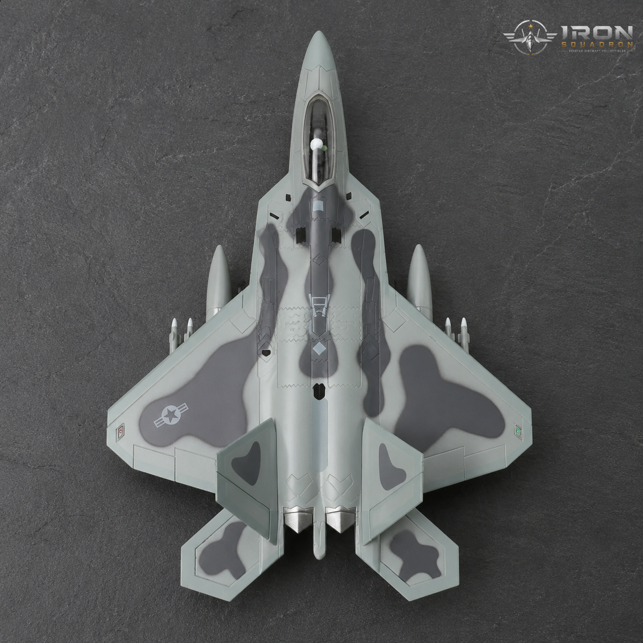 Iron Squadron™ F-22 Raptor "Old Reliable" AF91 4002