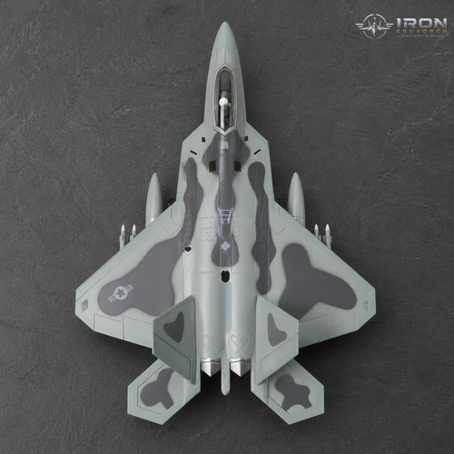 Iron Squadron™ F-22 Raptor "Old Reliable" AF91 4002